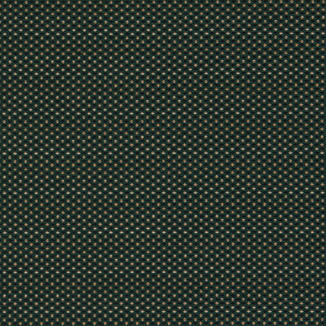 Clarke & Clarke PAVO FOREST Upholstery Fabric