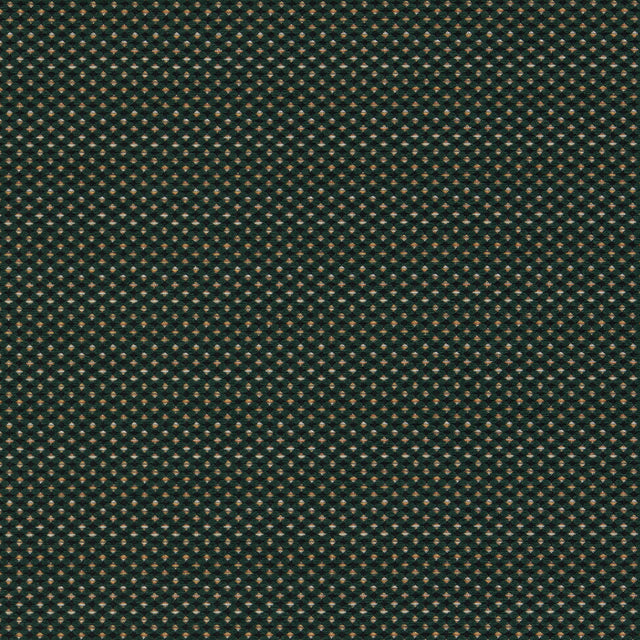 Clarke & Clarke PAVO FOREST Upholstery Fabric