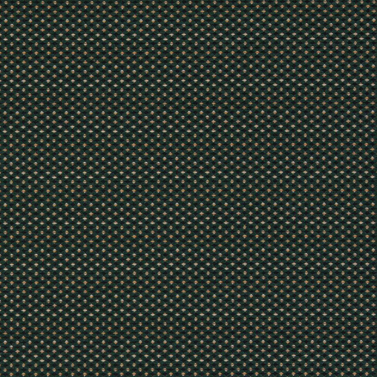 Clarke & Clarke PAVO FOREST Upholstery Fabric