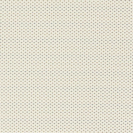 Clarke & Clarke PAVO IVORY/DENIM Upholstery Fabric