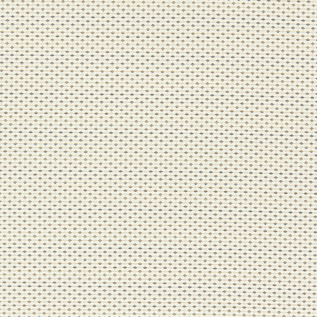 Clarke & Clarke PAVO IVORY/DENIM Upholstery Fabric