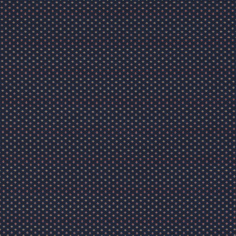 Clarke & Clarke PAVO MIDNIGHT Upholstery Fabric
