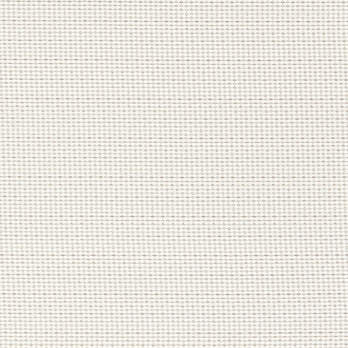 Clarke & Clarke PAVO NATURAL Upholstery Fabric