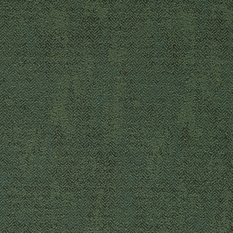 Clarke & Clarke BJORN MOSS Upholstery Fabric