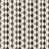 Clarke & Clarke DENVER MONOCHROME Fabric