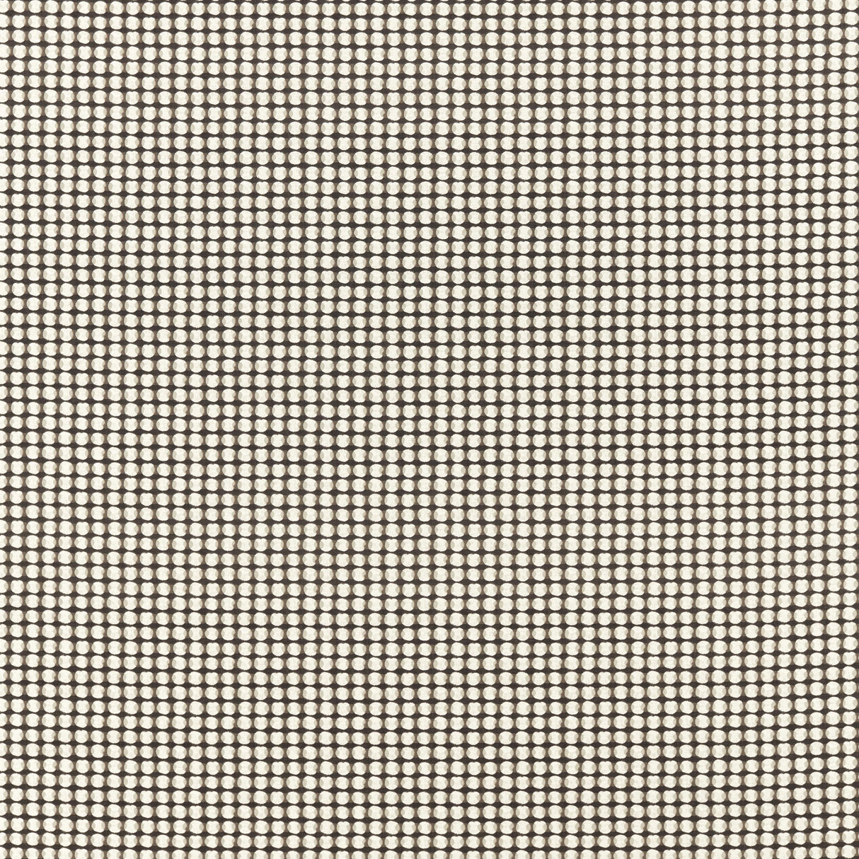 Clarke & Clarke OLYMPIA CHARCOAL Fabric