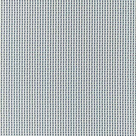 Clarke & Clarke OLYMPIA MINERAL Fabric