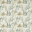 Clarke & Clarke BRACKEN GLADE EMB Drapery Fabric