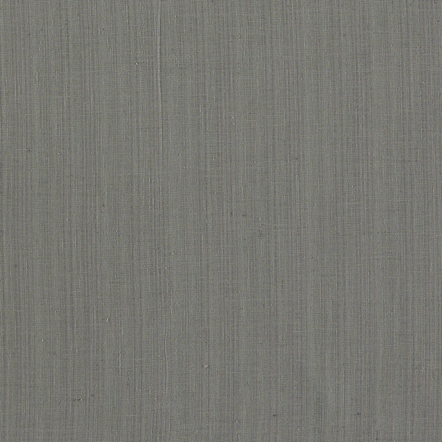 Clarke & Clarke REMO CHARCOAL Drapery Fabric