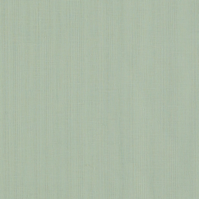 Clarke & Clarke REMO DUCKEGG Drapery Fabric