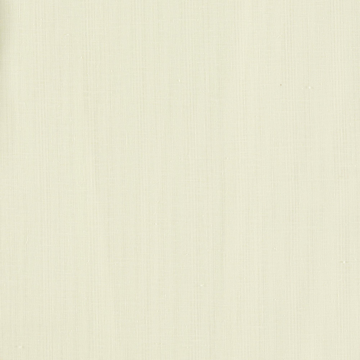 Clarke & Clarke REMO IVORY Drapery Fabric