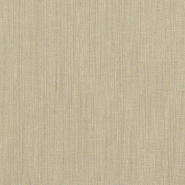 Clarke & Clarke REMO LINEN Drapery Fabric