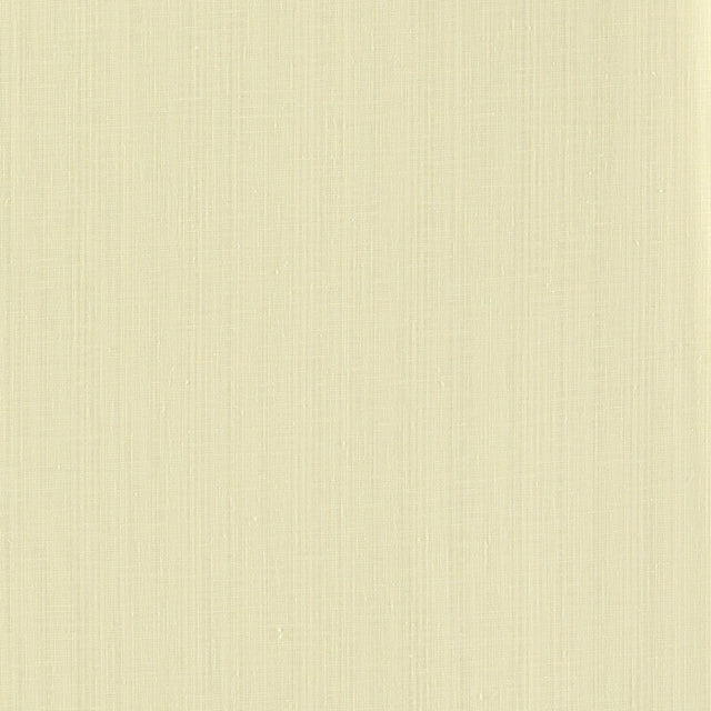 Clarke & Clarke REMO OYSTER Drapery Fabric