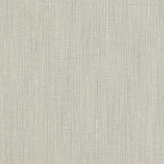Clarke & Clarke REMO PEBBLE Drapery Fabric