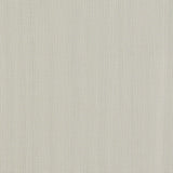 Clarke & Clarke REMO PEBBLE Drapery Fabric