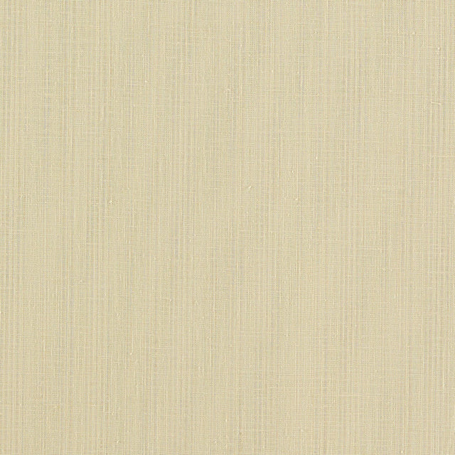 Clarke & Clarke REMO RAFFIA Drapery Fabric