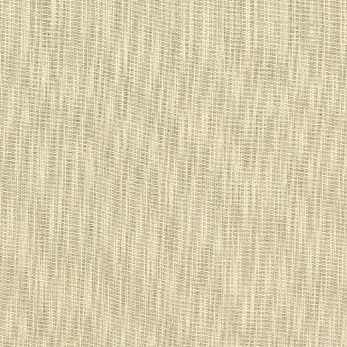 Clarke & Clarke REMO RAFFIA Drapery Fabric