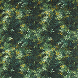 Clarke & Clarke CONGO OUTDOOR Fabric