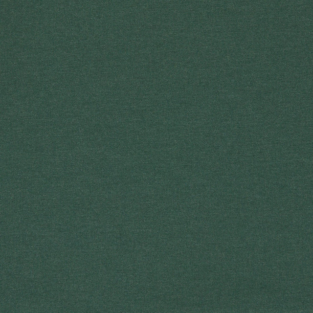 Clarke & Clarke LUGO FOREST Fabric