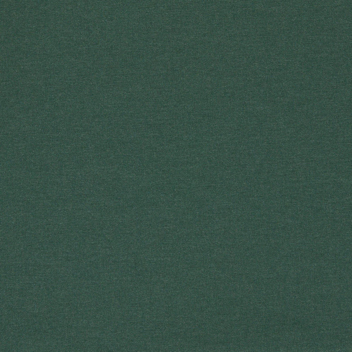 Clarke & Clarke LUGO FOREST Fabric
