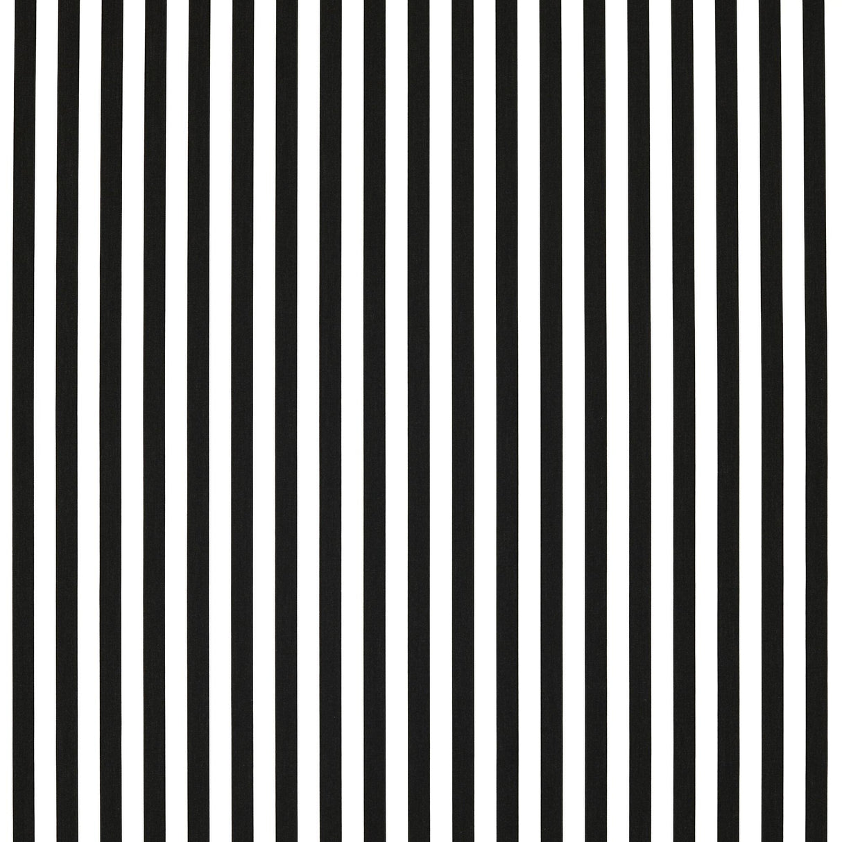 Clarke & Clarke SICILY EBONY Fabric