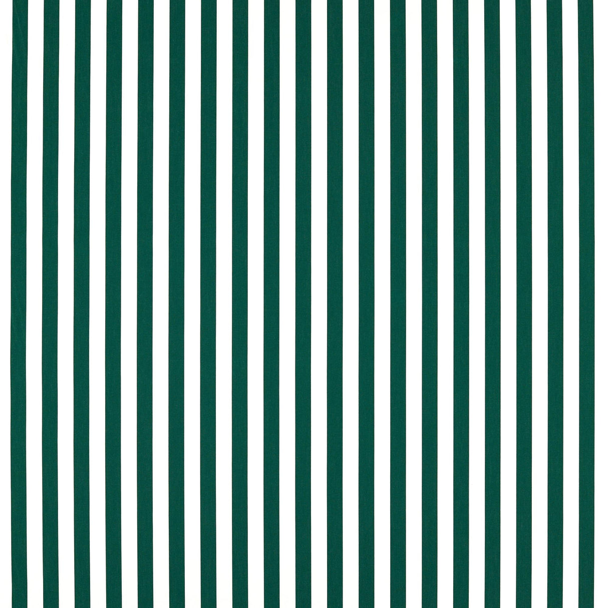 Clarke & Clarke SICILY FOREST Fabric