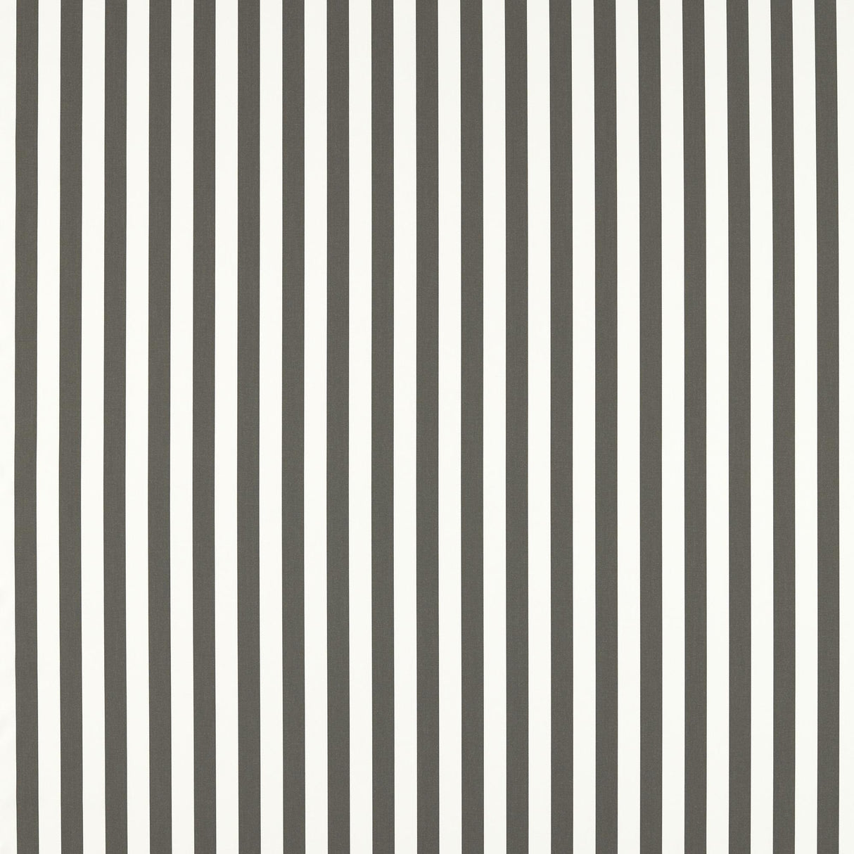 Clarke & Clarke SICILY GREY Fabric