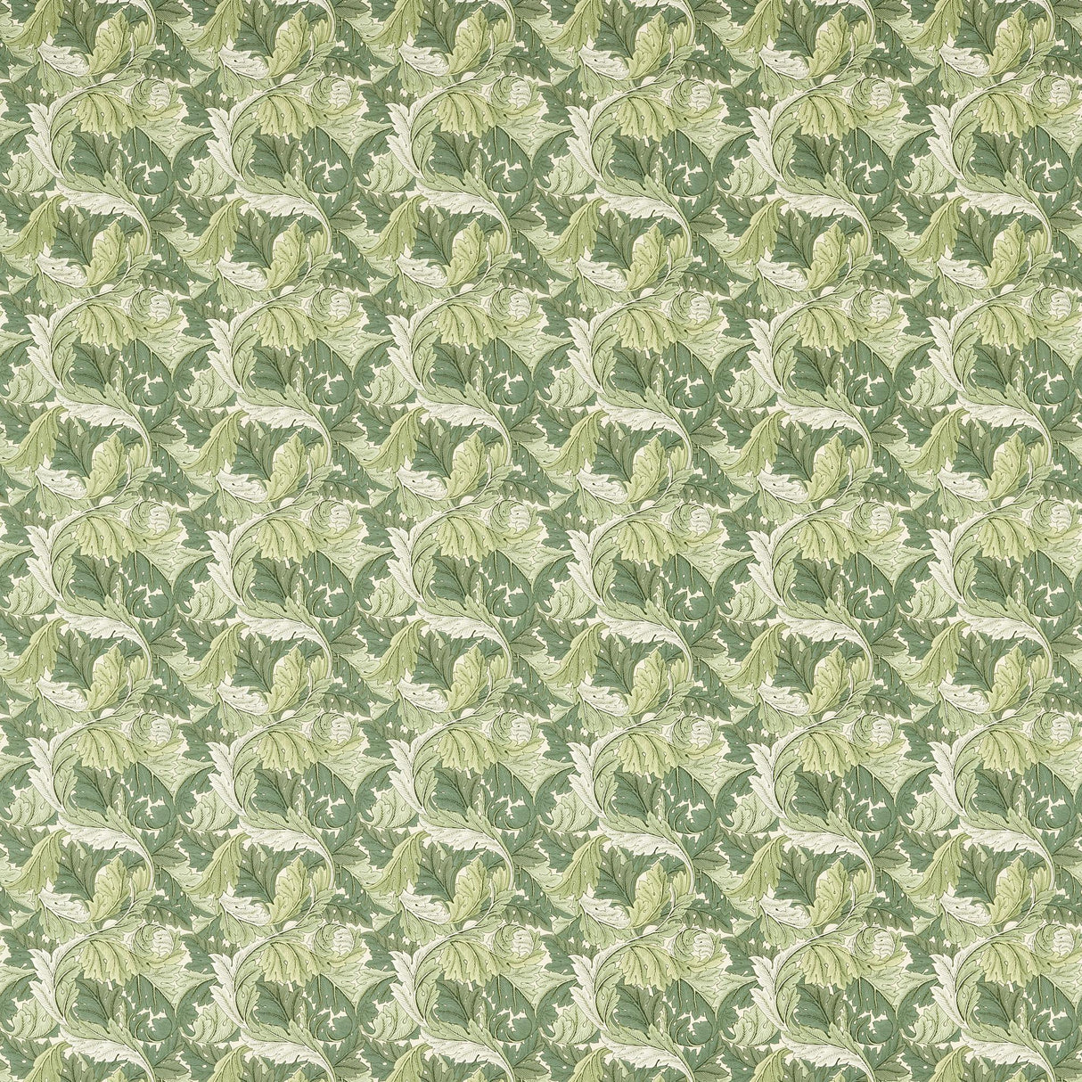 Clarke & Clarke ACANTHUS APPLE/SAGE Fabric
