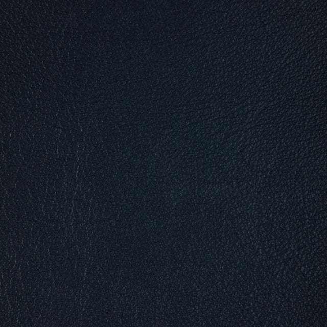 Kravet DESIGN L BADGER-ASTRO Upholstery Fabric