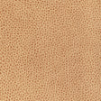 Kravet DESIGN L BISON-BISCOTTI Upholstery Fabric