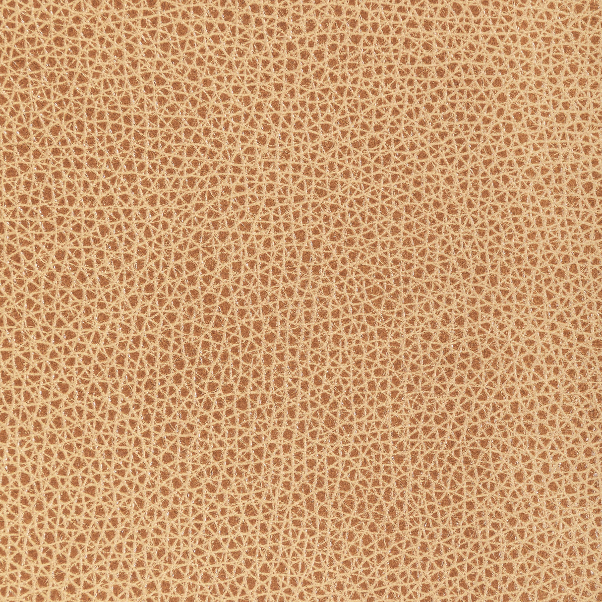 Kravet DESIGN L BISON-BISCOTTI Upholstery Fabric
