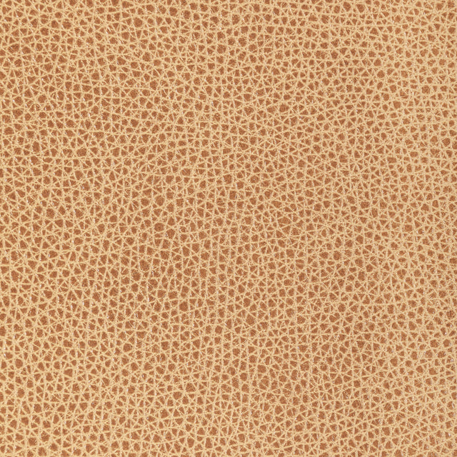 Kravet DESIGN L BISON-BISCOTTI Upholstery Fabric