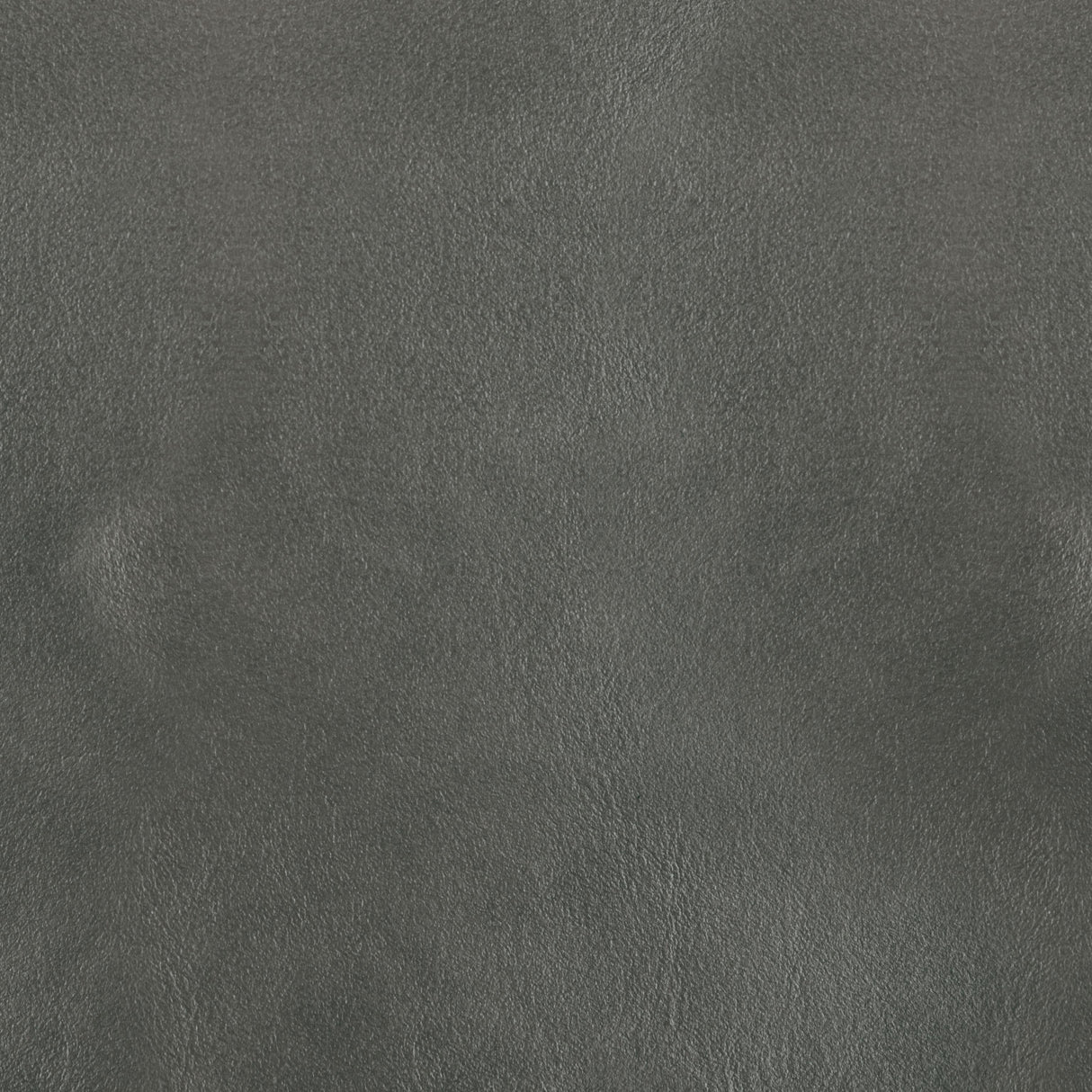 Kravet DESIGN L BOTA-COIN Upholstery Fabric