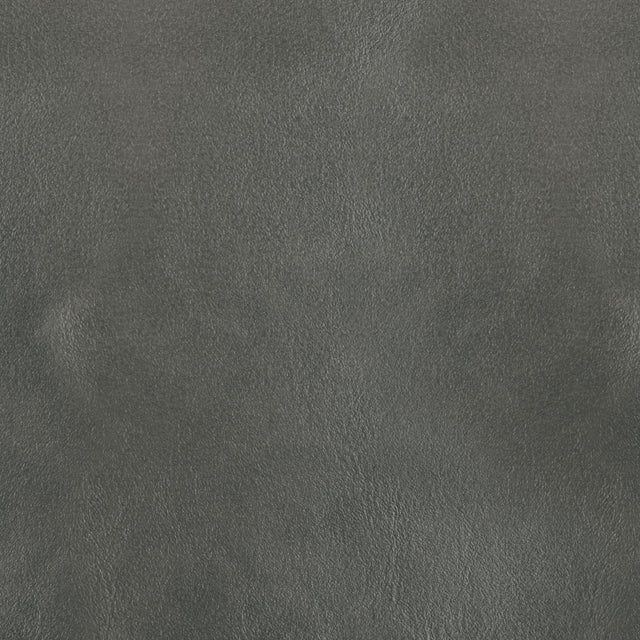 Kravet DESIGN L BOTA-COIN Upholstery Fabric