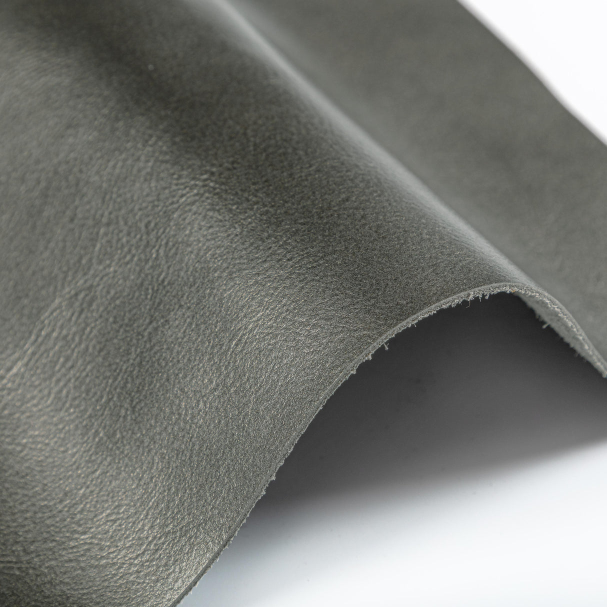 Kravet DESIGN L BOTA-COIN Upholstery Fabric