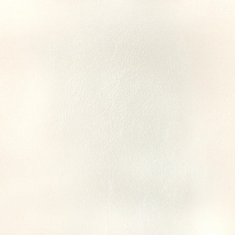 Kravet DESIGN L BOTA-IVORY Upholstery Fabric