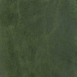 Kravet DESIGN L BRANTLEY-EVERGREEN Upholstery Fabric