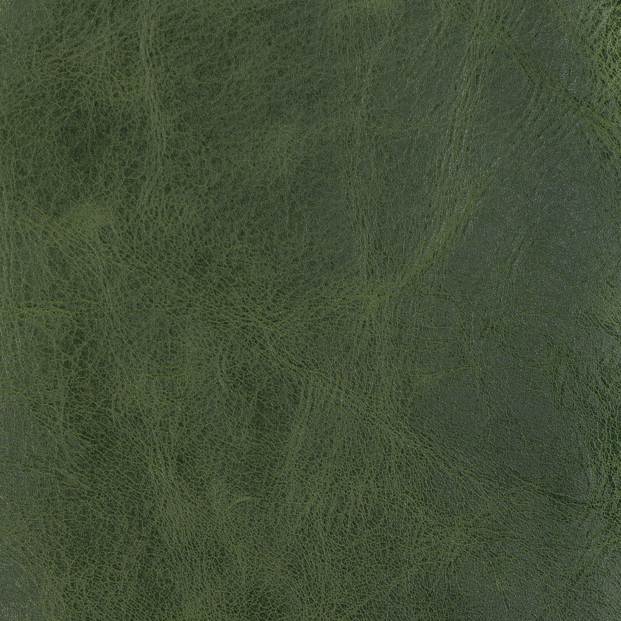 Kravet DESIGN L BRANTLEY-EVERGREEN Upholstery Fabric