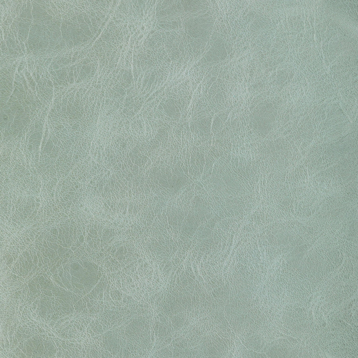 Kravet DESIGN L BRANTLEY-SAGE Upholstery Fabric
