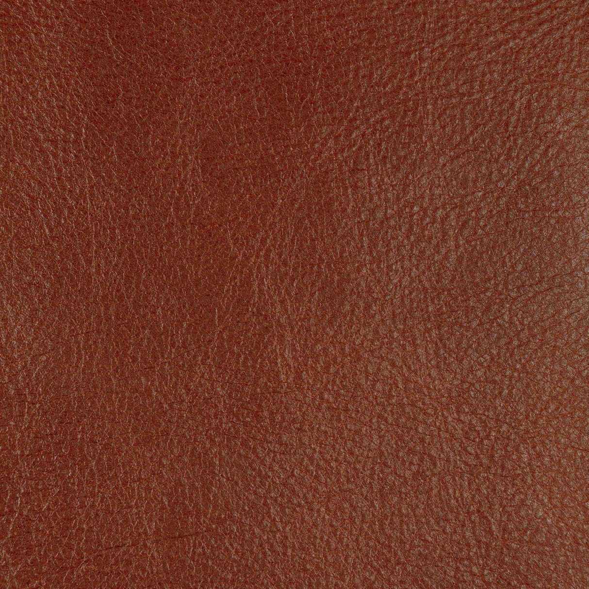 Kravet DESIGN L CANNON-SIENNA Upholstery Fabric