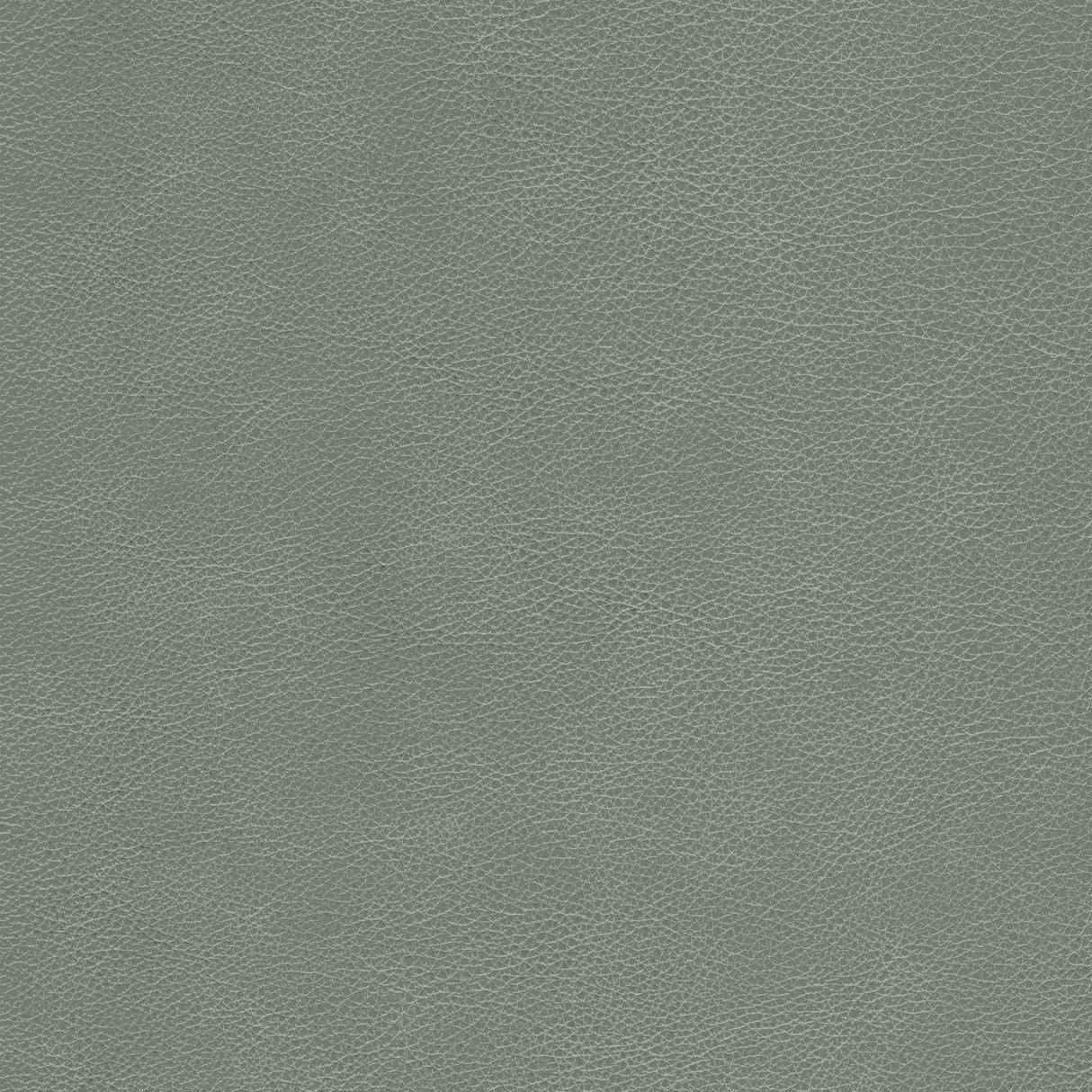 Kravet DESIGN L CIMARRON-ELEPHANT Upholstery Fabric