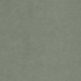 Kravet DESIGN L CIMARRON-ELEPHANT Upholstery Fabric