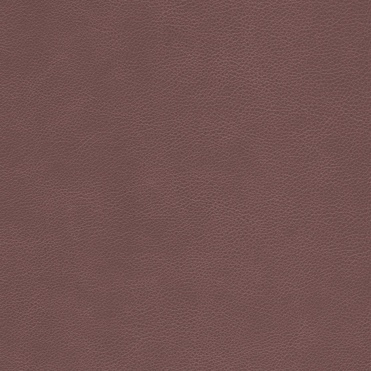 Kravet DESIGN L CIMARRON-WHISKEY Upholstery Fabric