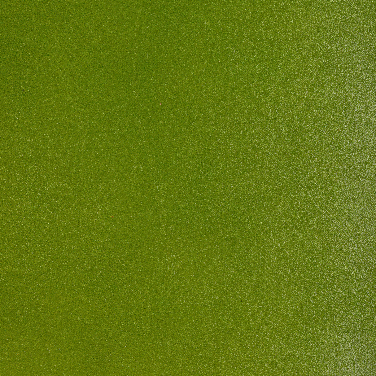 Kravet DESIGN L COFFER-LIME Upholstery Fabric