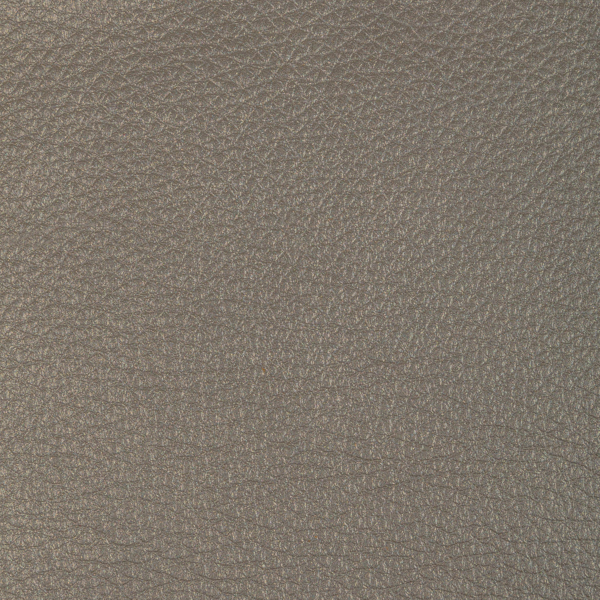 Kravet DESIGN L CONCHAS-ELEPHANT Upholstery Fabric
