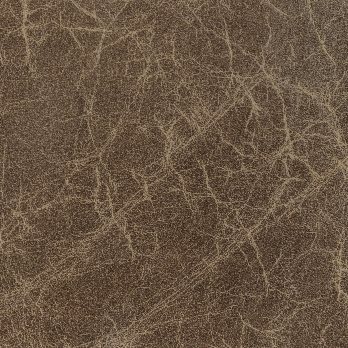 Kravet DESIGN L DE BACA-STONE Upholstery Fabric