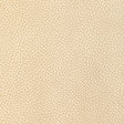 Kravet DESIGN L DIXIE-CHAMPAGNE Upholstery Fabric