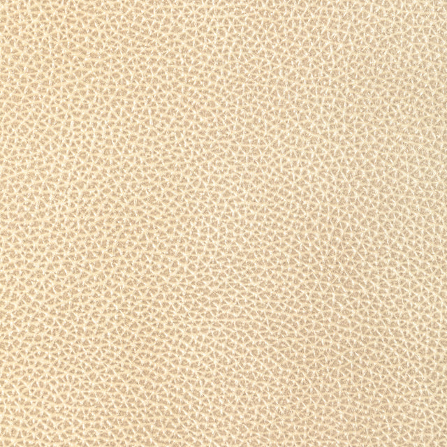 Kravet DESIGN L DIXIE-CHAMPAGNE Upholstery Fabric
