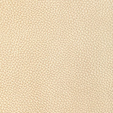 Kravet DESIGN L DIXIE-CHAMPAGNE Upholstery Fabric
