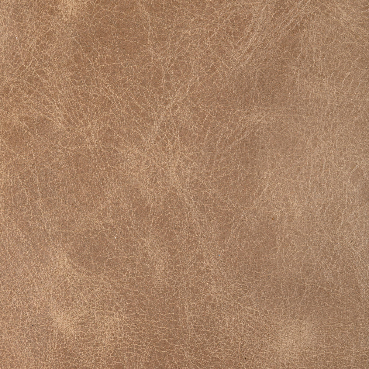 Kravet DESIGN L DROVERS-PEANUT Upholstery Fabric
